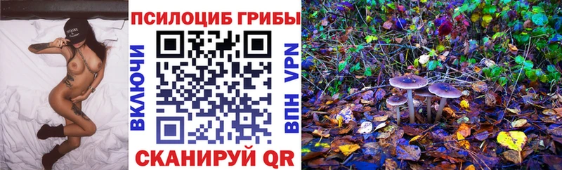 Псилоцибиновые грибы мухоморы Купить Плавск